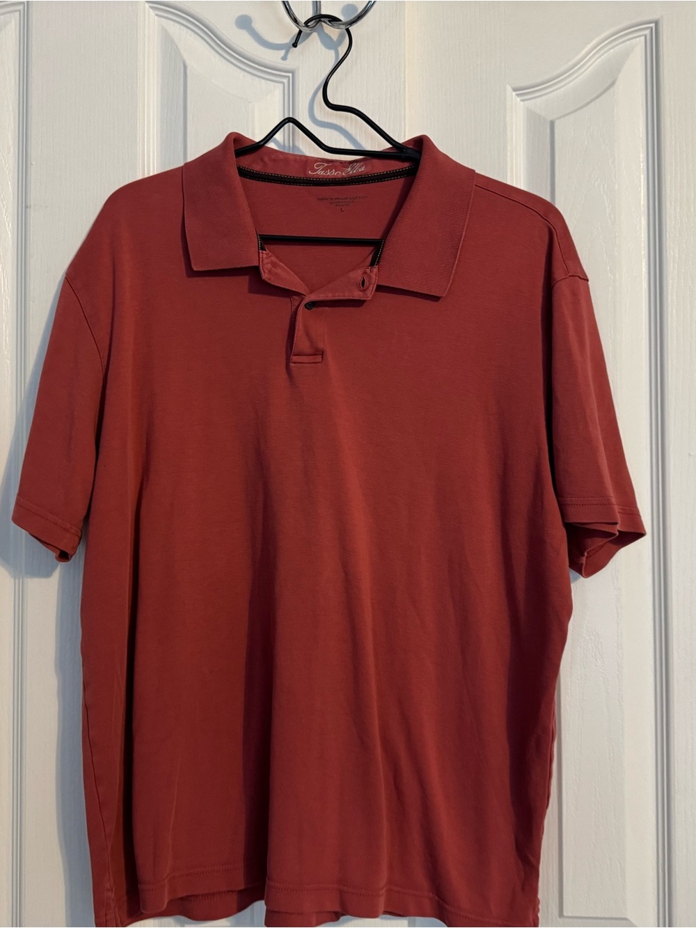 Tasso Elba Men's Polo in Deep Rust